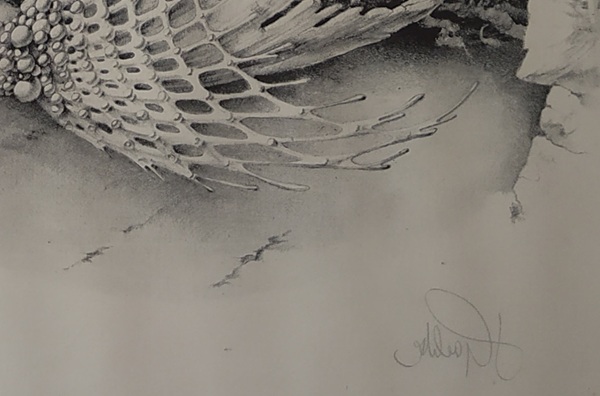 Desseins　 Gerard Gachet　ジェラール・ガシェ素描集 Desseins Gerard Gachet ジェラール・ガシェ素描集 【公式通販】